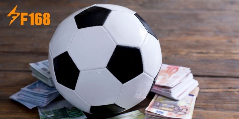 Mức độ quan trọng của việc hiểu rõ các điều khoản